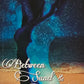 Between Sand and Stardust by Tina Michele